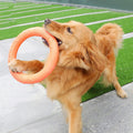 Medium/Large Dog Toys Ring Water Floating, Outdoor Fitness Flying Discs, Tug of War Interactive Training Ring for Medium and Big Dogs, 18cm (7inch) - Guardian Pet Store