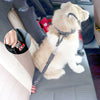 Dog Seat Belt Car Seatbelts Adjustable Pet Seat Belt for Vehicle Nylon Pet Safety Seat Belts Heavy Duty & Elastic & Durable Car Seat Belt for Dogs, Cats and Pets - Guardian Pet Store
