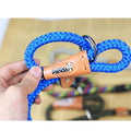 Pet Dog Nylon Adjustable Loop Slip Leash Rope Lead 1.2m (47") - Guardian Pet Store