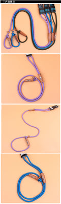 Pet Dog Nylon Adjustable Loop Slip Leash Rope Lead 1.2m (47") - Guardian Pet Store